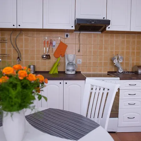 Albatros Center Apartmán *