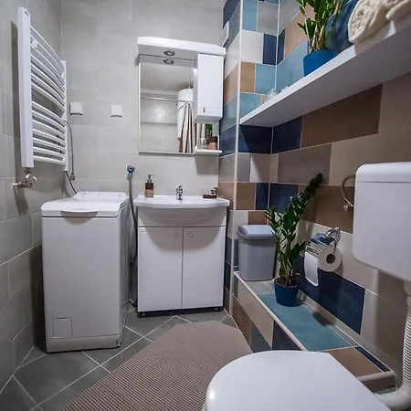 Albatros Center Apartman *