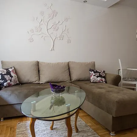 Albatros Center * Novi Sad