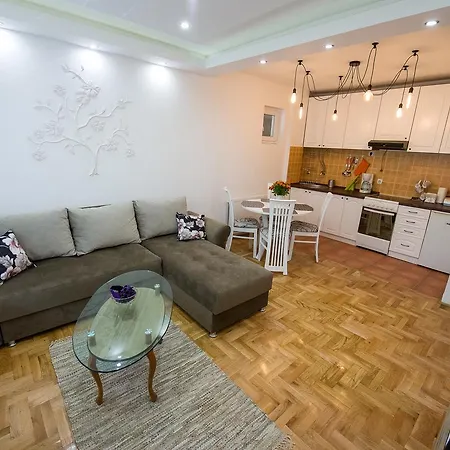 Albatros Center Apartman
