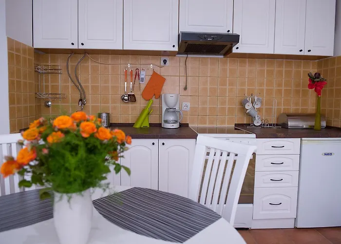 Albatros Center Apartamento *