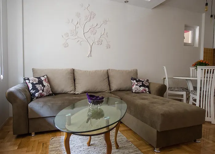 Albatros Center * Novi Sad